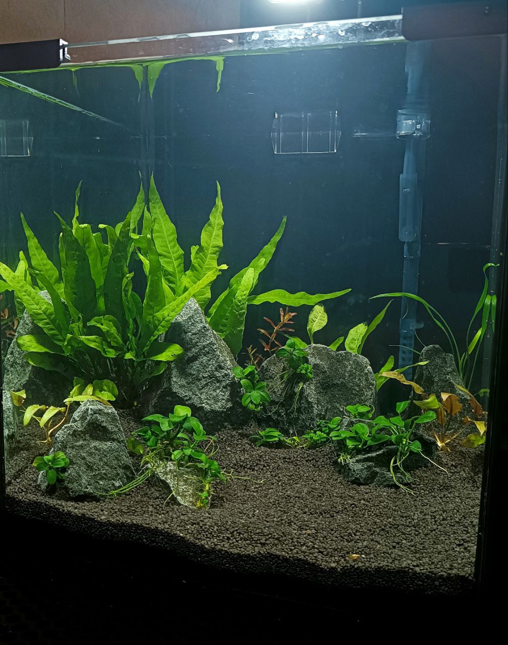 27 liter