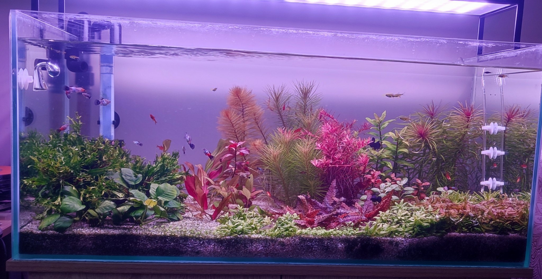 Aquarium 90x40x40