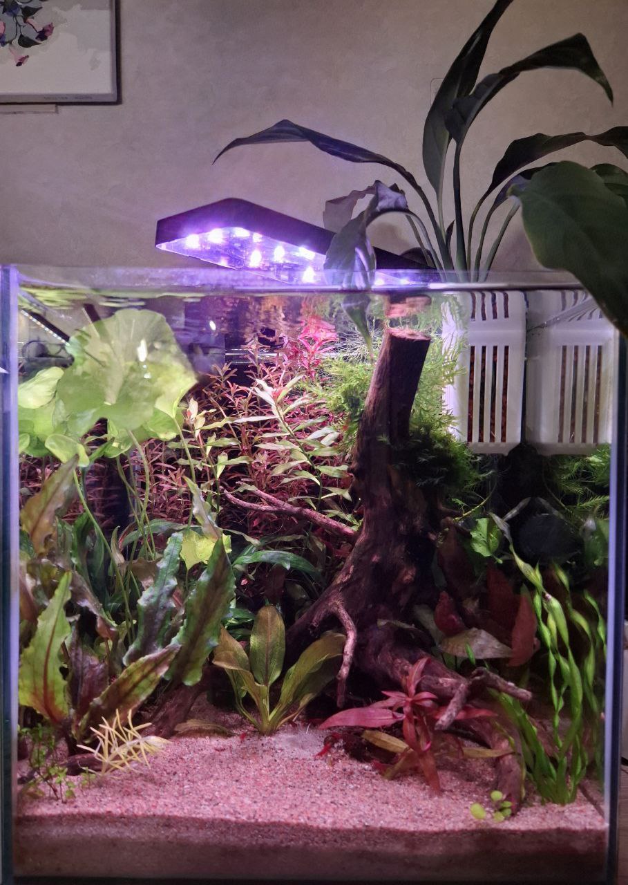 20L