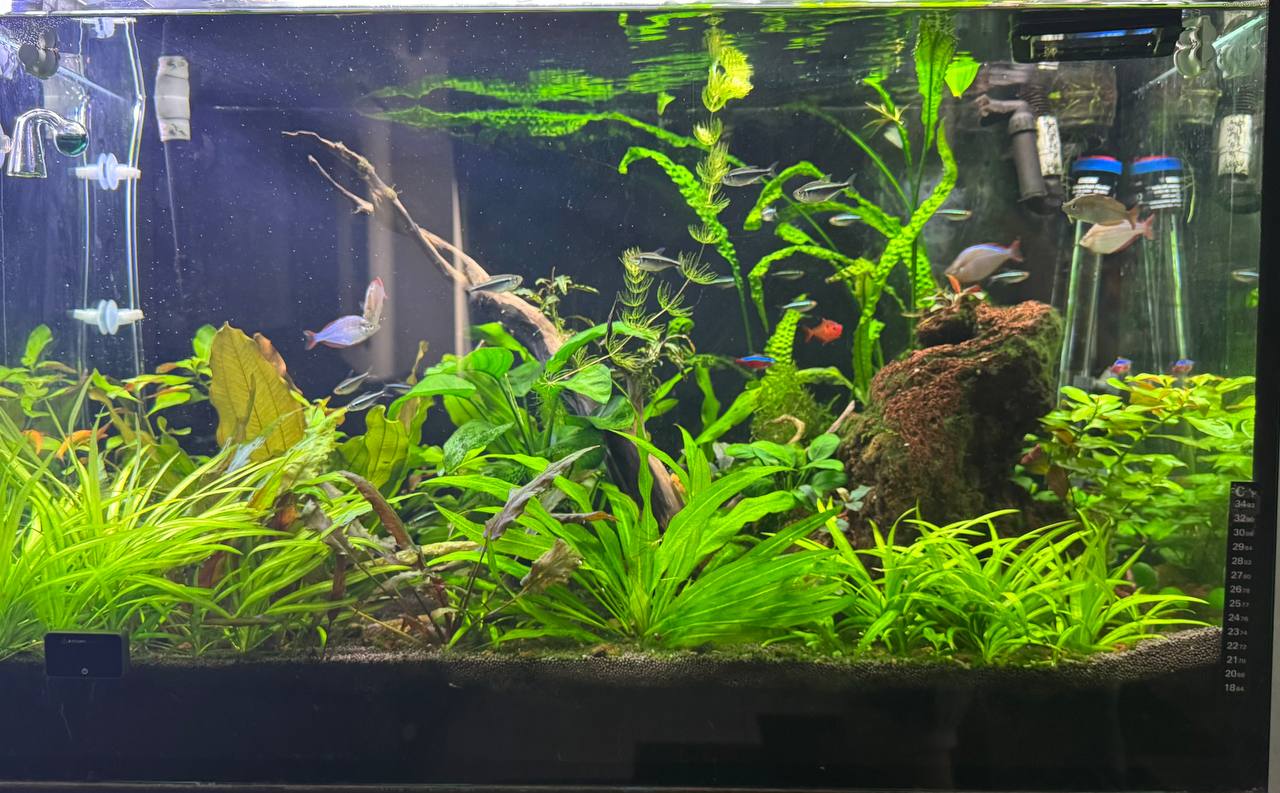 140 liter