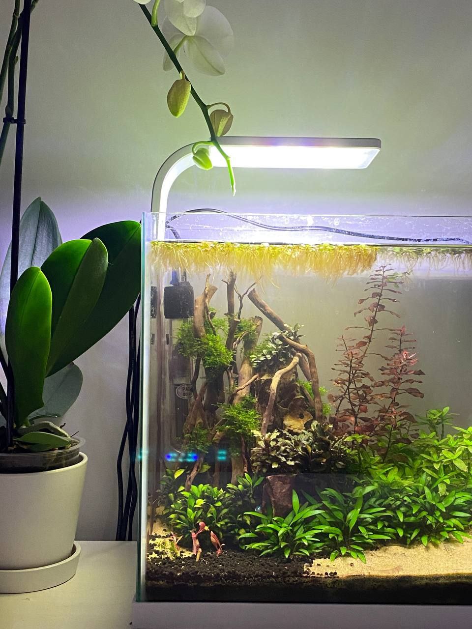 Superfish 30L